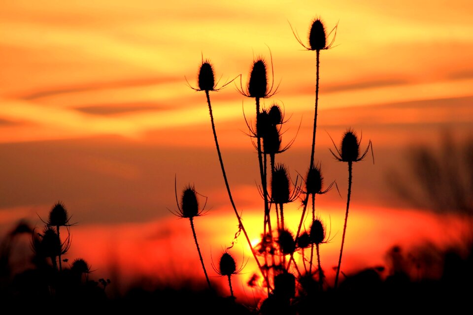 Nature mood morgenstimmung