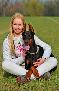 Dog animal species