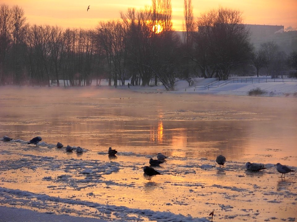 Nad Brdą zima 2010b