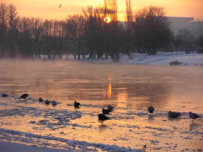 Nad Brdą zima 2010b