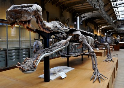 Mus Nat Hist Nat GPAC Paris 13052012 08