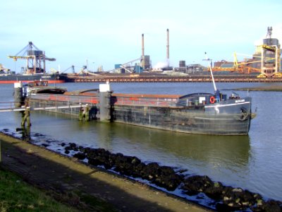 Muscari, ENI 06002271 at IJmuiden, Port of Amsterdam