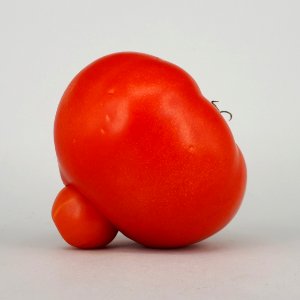 Mutant tomato 2017 B2