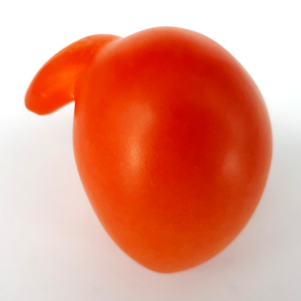 Mutant tomato 2017 A1