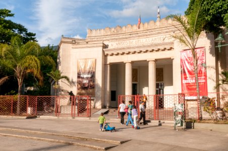 Museo de Bellas Artes 12