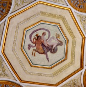 Museo Correr Neoclassical ceiling 03032015 6 photo