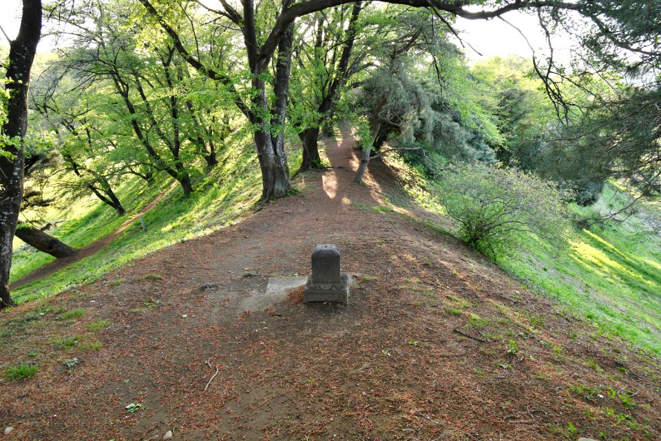 Nanakoshiyama Kofun, zenpoubu