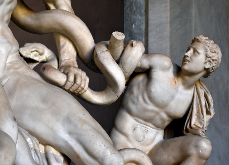 Musei Vaticani Laocoon Detail 11042017 01