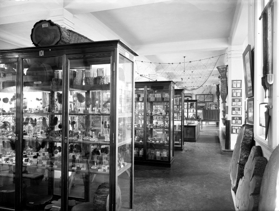 Museum in het hoofdkantoor van de Nederlandse Heidemaatschappij te Arnhem, Bestanddeelnr 162-0773