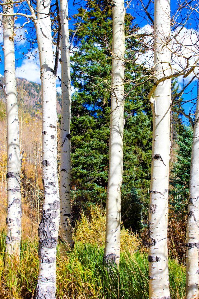 Hiking trail landscape