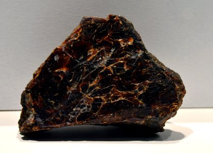 Mus Hist Nat Lille Whewellite 12052013
