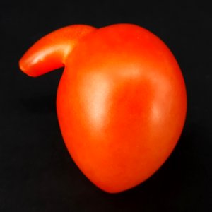 Mutant tomato 2017 A2