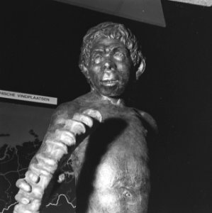 Musea, kunstschatten, Bestanddeelnr 919-6078