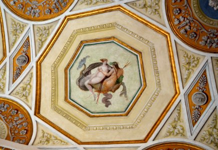 Museo Correr Neoclassical ceiling 03032015 2
