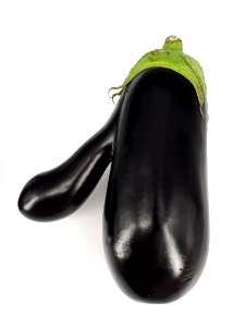 Mutant eggplant 2017 E
