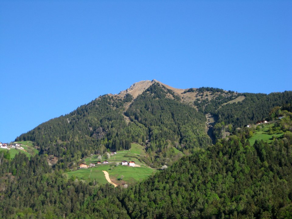 Mutspitze von Dorf Tirol