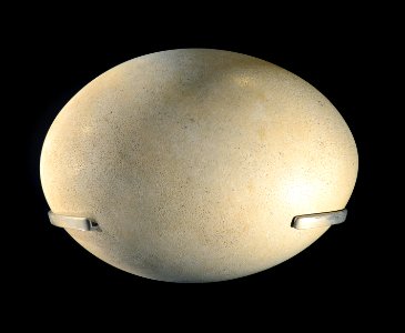 Mus Nat Hist Nat 25022013 Aepyornis egg