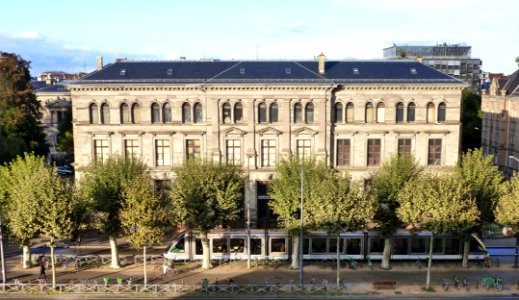 Musée zoologique de Strasbourg en 2013 01
