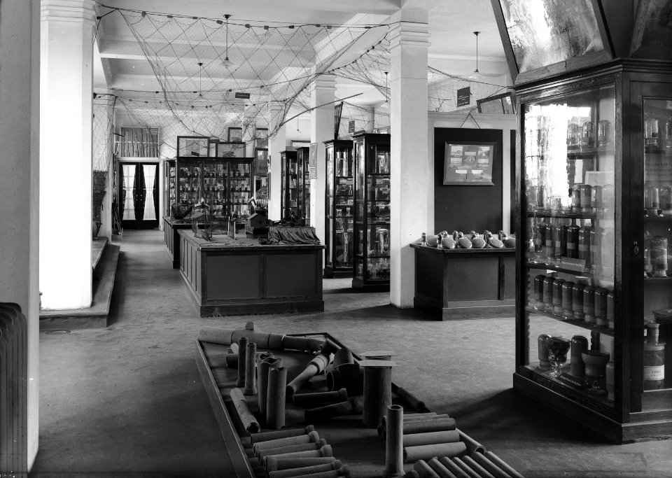 Museum in het hoofdkantoor van de Nederlandse Heidemaatschappij te Arnhem, Bestanddeelnr 162-0777