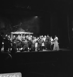 Musical Anatevka, Bestanddeelnr 919-8929