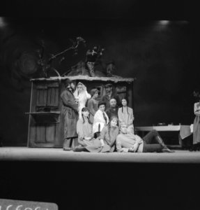 Musical Anatevka, Bestanddeelnr 919-8931