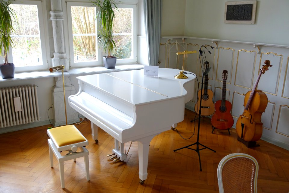 Music room detail - Schloss Dagstuhl - DSC06187