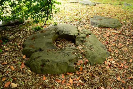 Mutsu Kokubunji tou shinso
