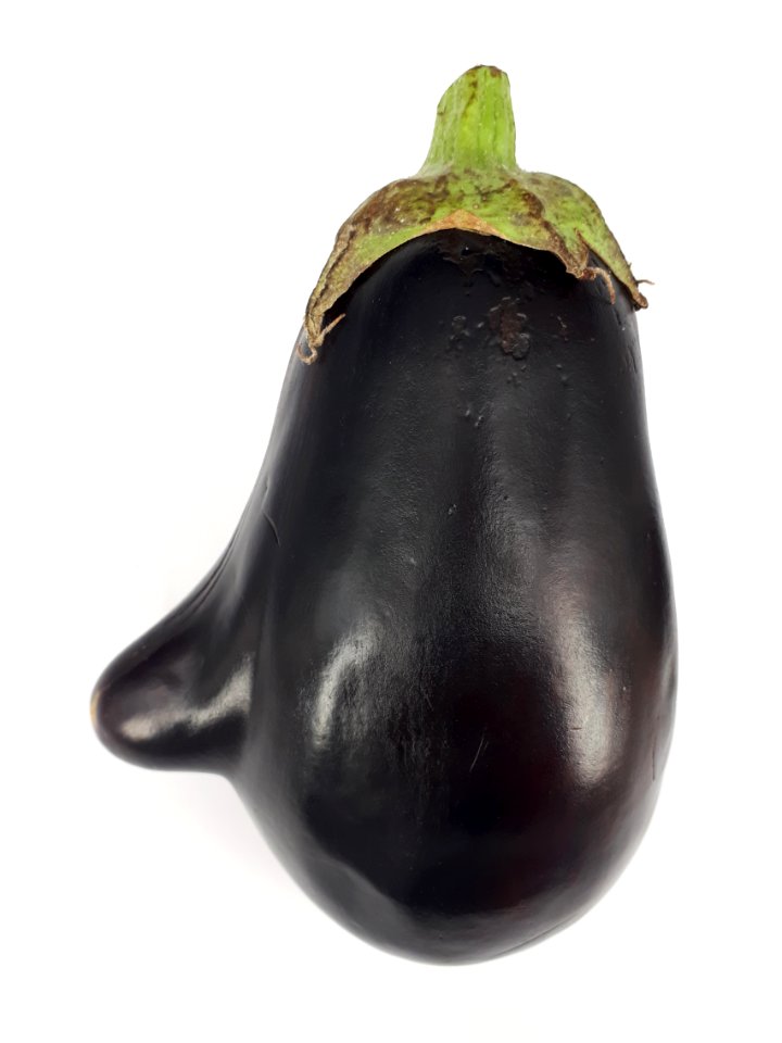 Mutant eggplant 2017 C
