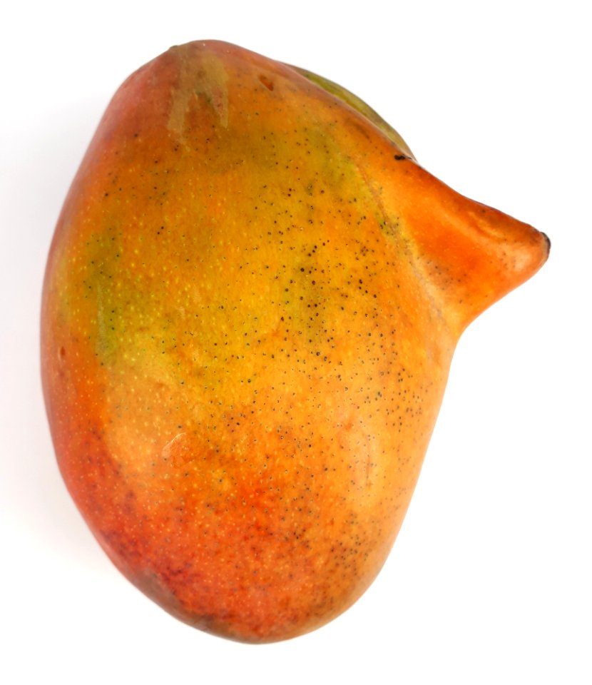 Mutant mango 2017 A2
