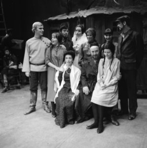 Musical Anatevka, Bestanddeelnr 919-8924