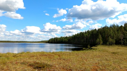 Mustikkalampi Oulu photo