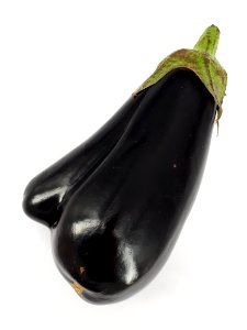 Mutant eggplant 2017 D