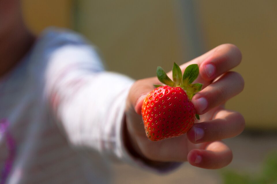 Child fruit berries