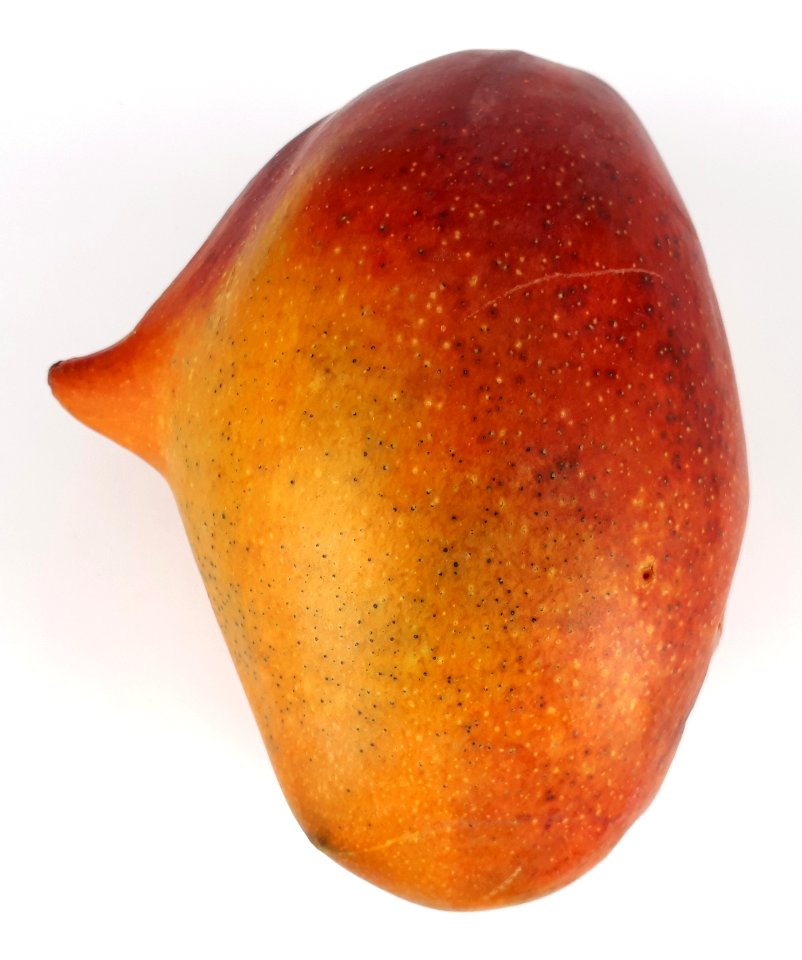 Mutant mango 2017 A1
