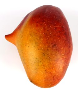 Mutant mango 2017 A1