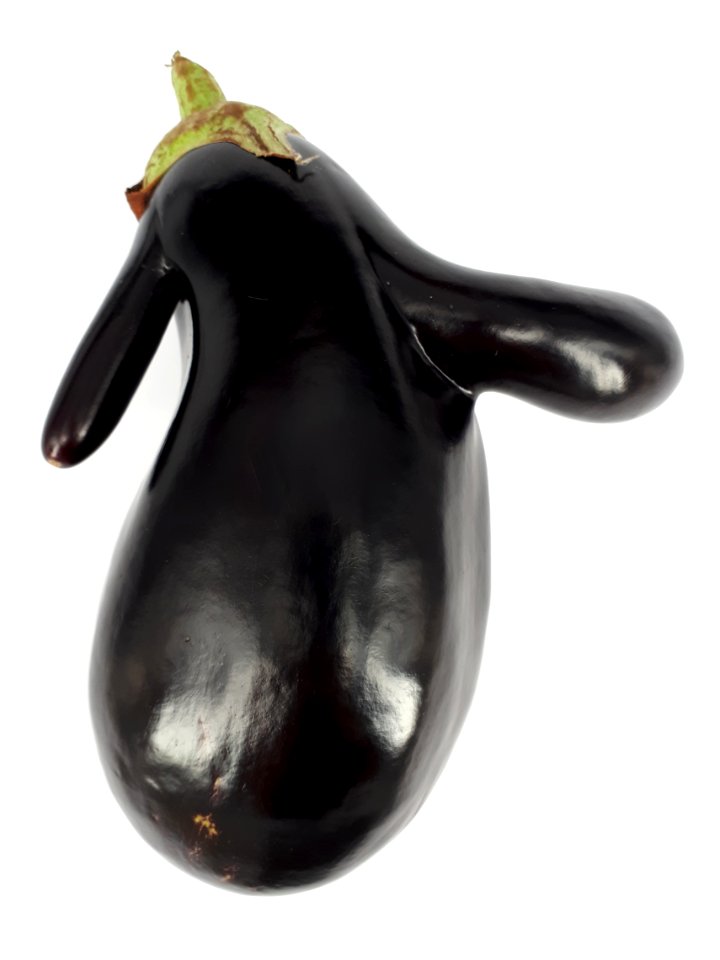 Mutant eggplant 2017 A