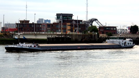 Mustang - ENI 06000497, Van Cauwelaertsluis, Port of Antwerp