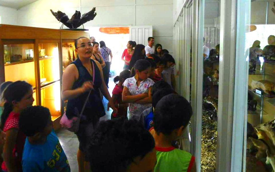 Museu da Fauna e da Flora.4