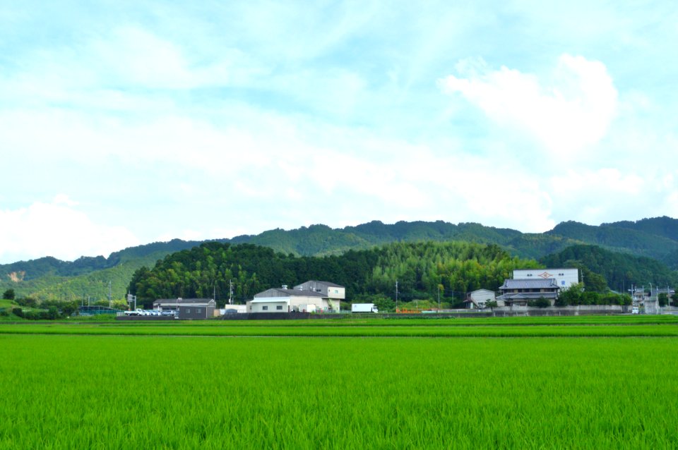 Muro Miya-yama Kofun zenkei-1