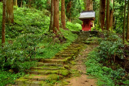 Murouji, ten-jinja-3