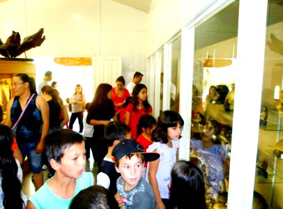 Museu da Fauna e da Flora.2