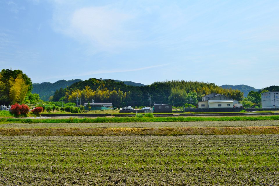 Muro Miya-yama Kofun zenkei-1-2