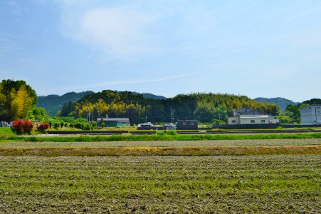 Muro Miya-yama Kofun zenkei-1-2