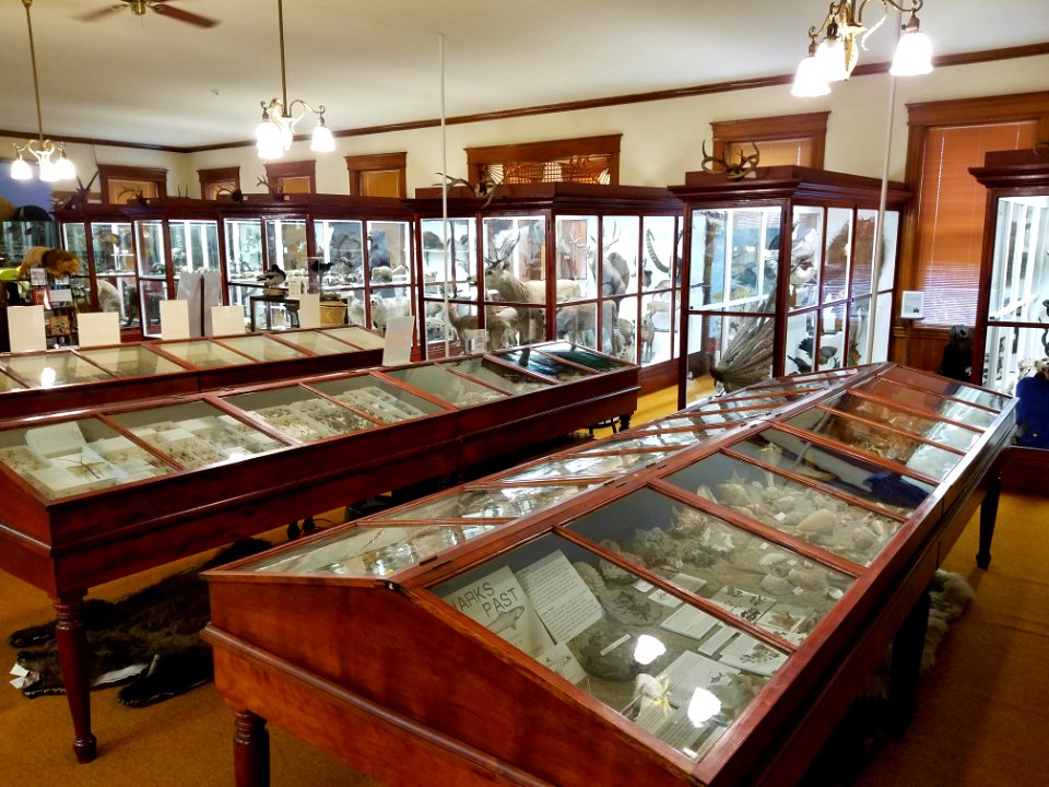 Museum exhibit cases - Pember Library and Museum - Granville, New York - 20180224 142449