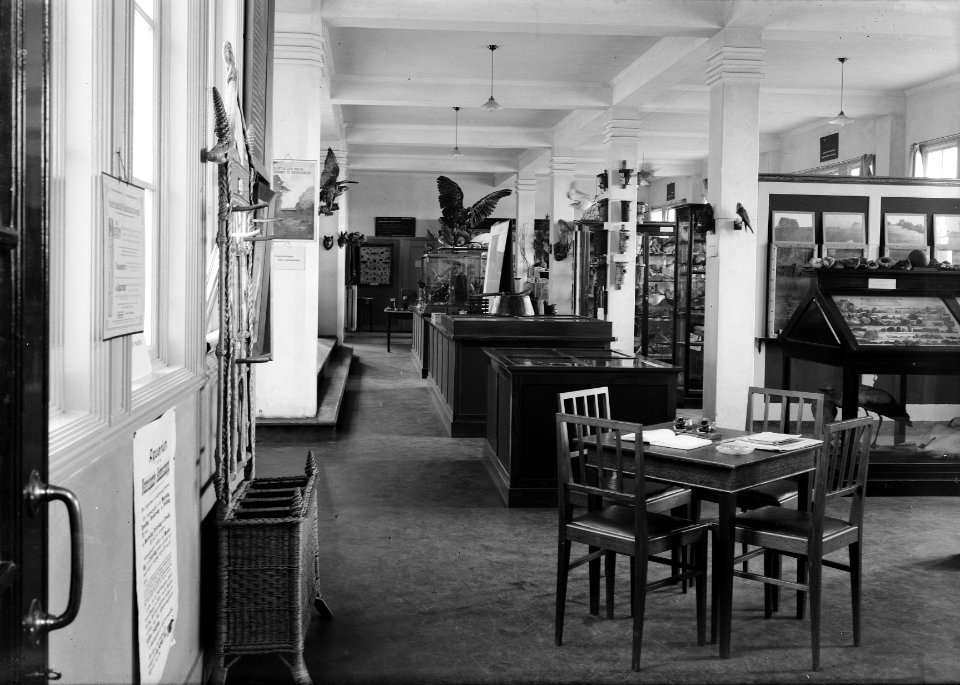 Museum in het hoofdkantoor van de Nederlandse Heidemaatschappij te Arnhem, Bestanddeelnr 162-0776