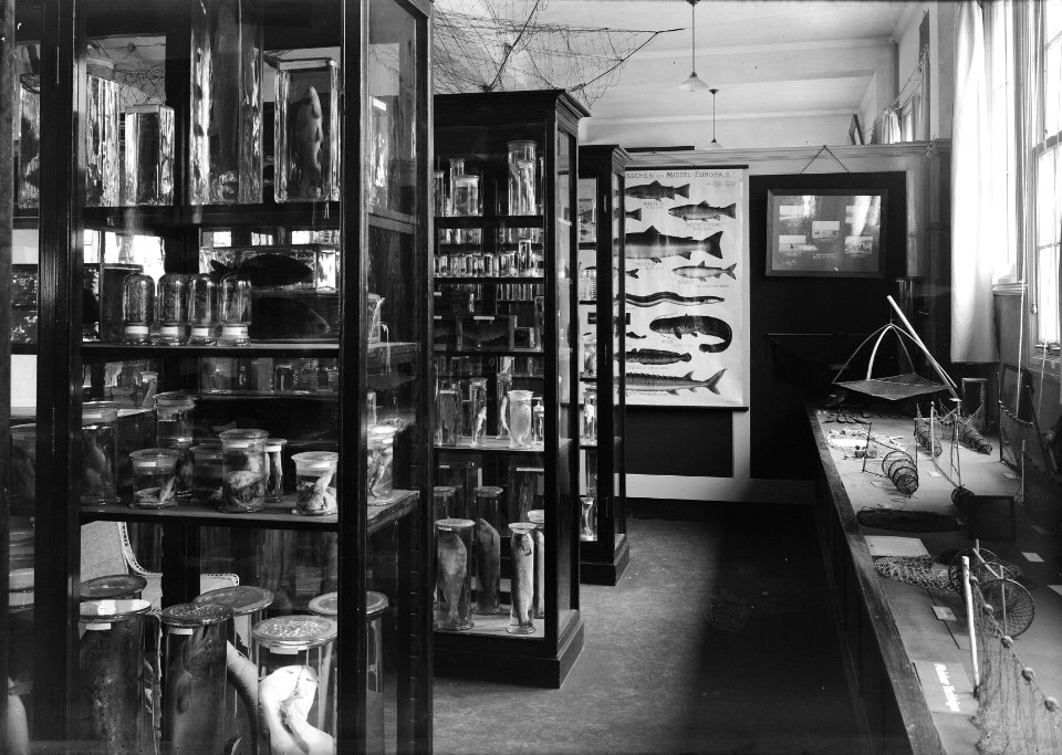 Museum in het hoofdkantoor van de Nederlandse Heidemaatschappij te Arnhem, Bestanddeelnr 162-0782