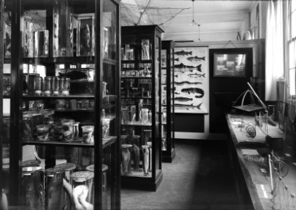 Museum in het hoofdkantoor van de Nederlandse Heidemaatschappij te Arnhem, Bestanddeelnr 162-0782