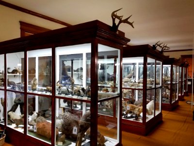 Museum exhibit cases - Pember Library and Museum - Granville, New York - 20180224 141249