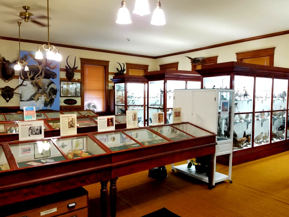 Museum exhibit cases - Pember Library and Museum - Granville, New York - 20180224 141310