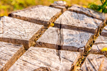 Section detail timber